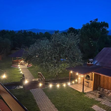 Horace Guesthouse Pool & Hot Tub & Bikes & River Dezsán Kültér fotó