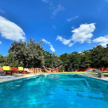 Horace Guesthouse Pool & Hot Tub & Bikes & River Dezsán Kültér fotó