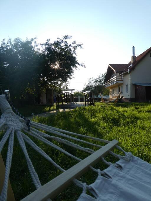Horace Guesthouse Pool & Hot Tub & Bikes & River Dezsán Kültér fotó