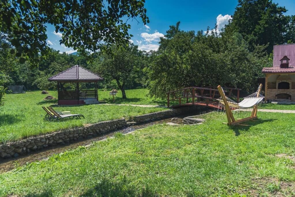 Horace Guesthouse Pool & Hot Tub & Bikes & River Dezsán Kültér fotó