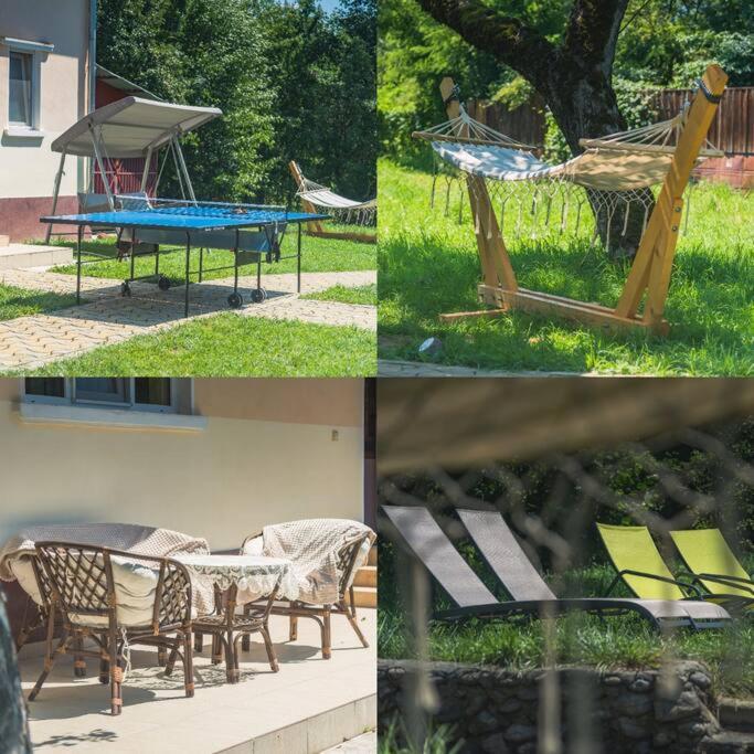 Horace Guesthouse Pool & Hot Tub & Bikes & River Dezsán Kültér fotó