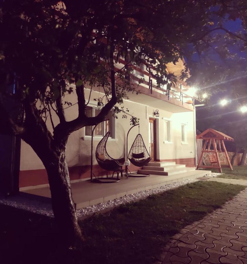 Horace Guesthouse Pool & Hot Tub & Bikes & River Dezsán Kültér fotó