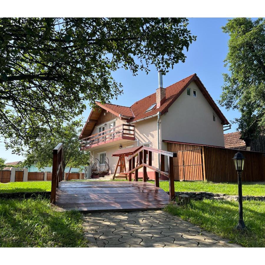 Horace Guesthouse Pool & Hot Tub & Bikes & River Dezsán Kültér fotó