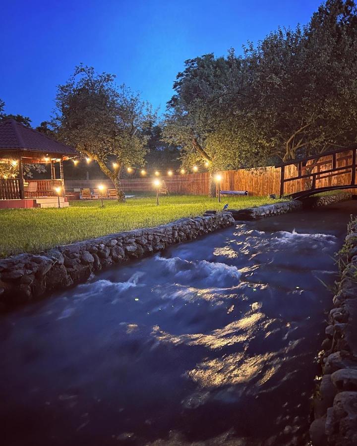 Horace Guesthouse Pool & Hot Tub & Bikes & River Dezsán Kültér fotó