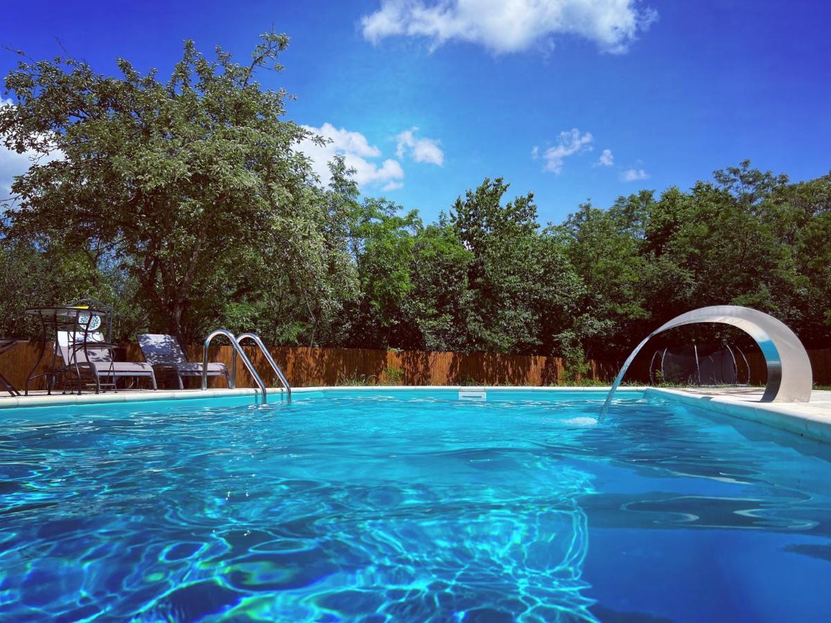 Horace Guesthouse Pool & Hot Tub & Bikes & River Dezsán Kültér fotó