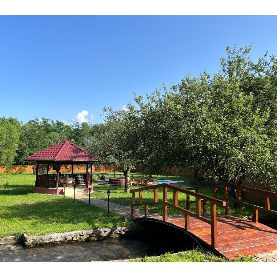 Horace Guesthouse Pool & Hot Tub & Bikes & River Dezsán Kültér fotó