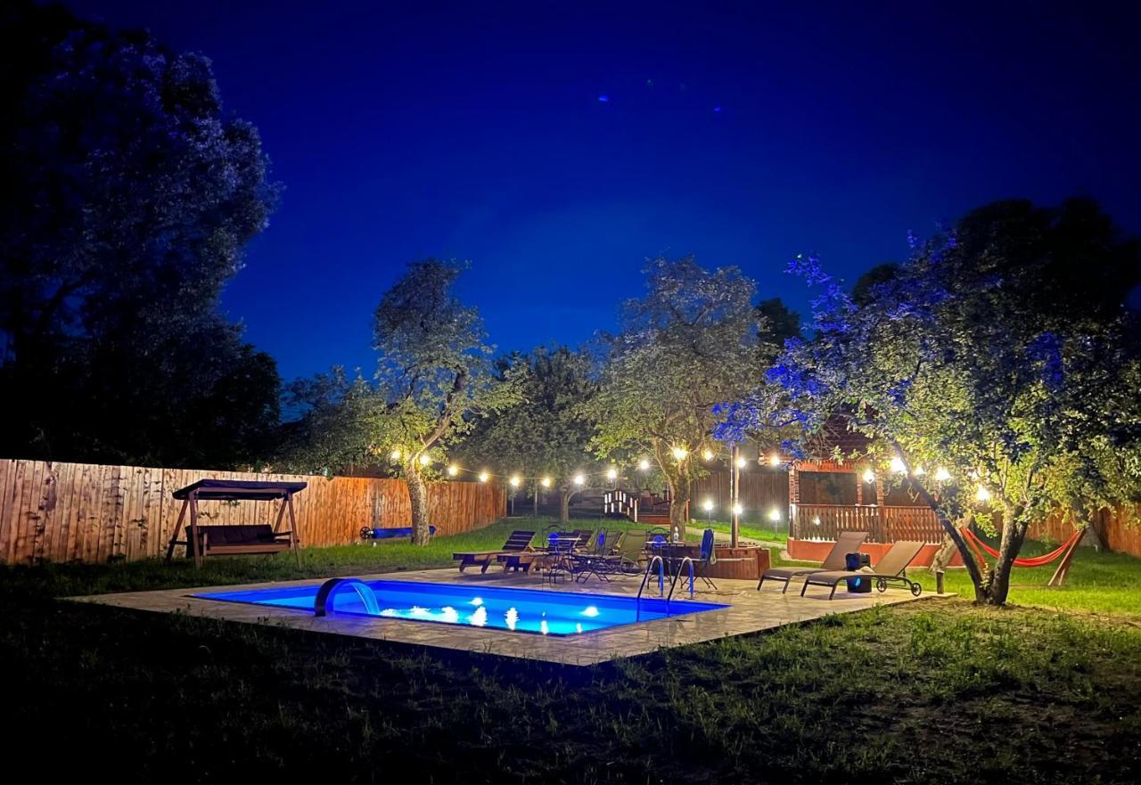 Horace Guesthouse Pool & Hot Tub & Bikes & River Dezsán Kültér fotó