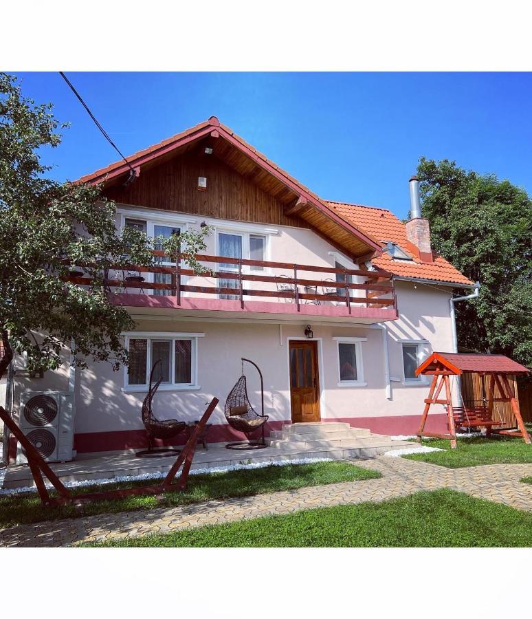 Horace Guesthouse Pool & Hot Tub & Bikes & River Dezsán Kültér fotó