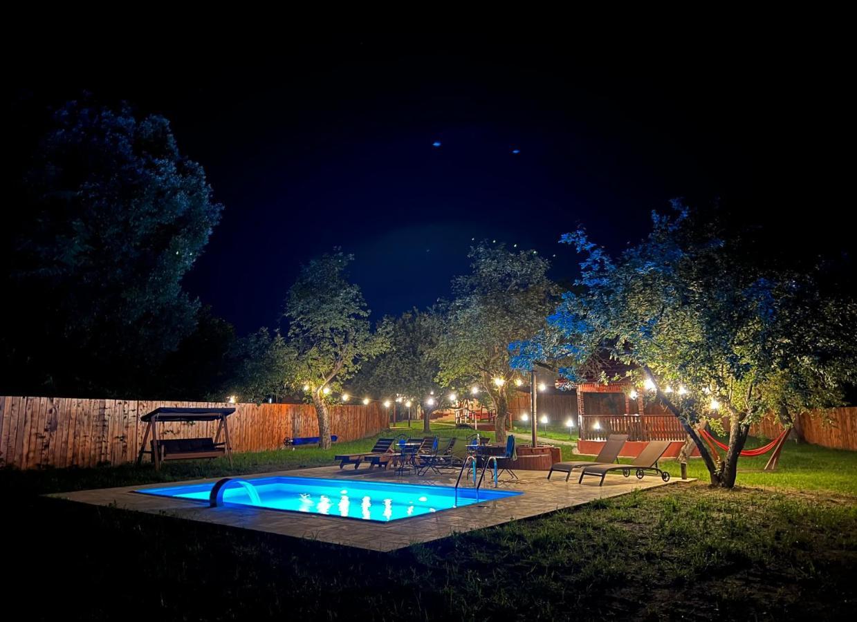 Horace Guesthouse Pool & Hot Tub & Bikes & River Dezsán Kültér fotó