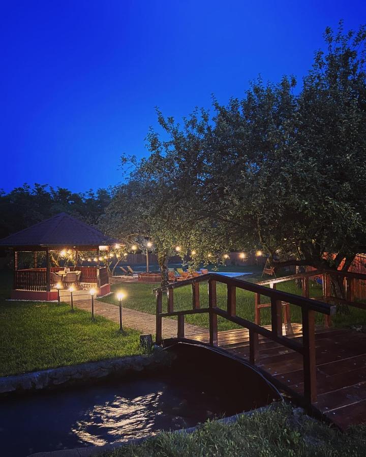 Horace Guesthouse Pool & Hot Tub & Bikes & River Dezsán Kültér fotó